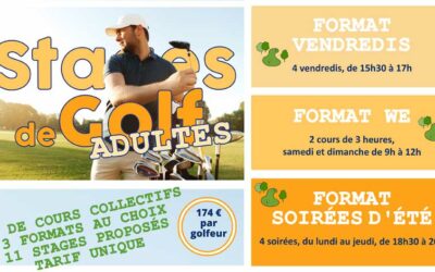 Stage collectifs adultes – 3 formats possibles